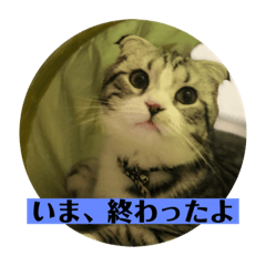 [LINEスタンプ] 蘭丸まる  8