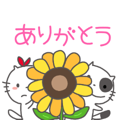 [LINEスタンプ] にゅこ丸6☆夏☆ねこ