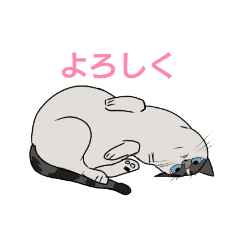 [LINEスタンプ] 長谷川ミミ