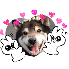 [LINEスタンプ] うちのオハナ第二弾