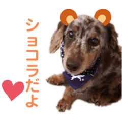 [LINEスタンプ] 都会の男 ショコラ