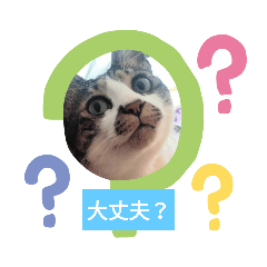 [LINEスタンプ] ひかる生活2