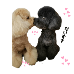 [LINEスタンプ] みるく＆くるみ 2