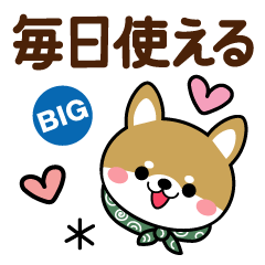 [LINEスタンプ] 毎日使える敬語豆柴♡柴犬【BIG】