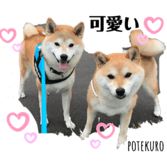 [LINEスタンプ] 仲良しぽてくろだよ