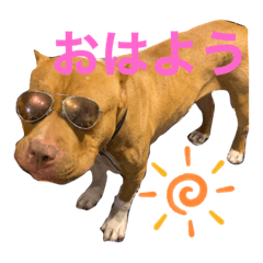 [LINEスタンプ] サリー＆モコ