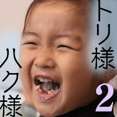 [LINEスタンプ] トリ様＆ハク様のかるたスタンプ【下】