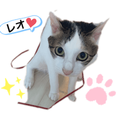 [LINEスタンプ] れおにゃん♪の画像（メイン）