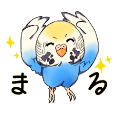 [LINEスタンプ] 表情豊かなインコスタンプ