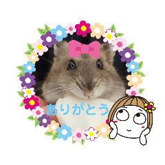 [LINEスタンプ] 癒しなごみハムスタースタンプ2