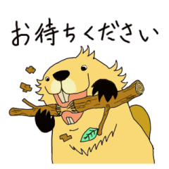 [LINEスタンプ] 僕ビーバー。結構昼間も起きてるよ。