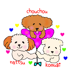 [LINEスタンプ] トイプーとシーズーのハッピーライフ❤️