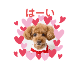 [LINEスタンプ] ほのぼのoimo No.2