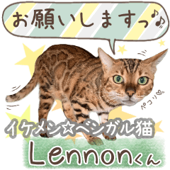 [LINEスタンプ] イケメン！ ベンガル猫♠Lennonさん
