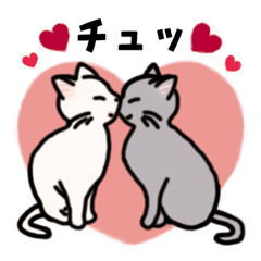 [LINEスタンプ] 猫の挨拶・仕草・気持ち