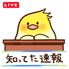 [LINEスタンプ] オタクなオカメインコの日常スタンプ