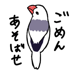 [LINEスタンプ] 白めなパイド文鳥のお嬢様スタンプ