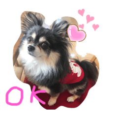 [LINEスタンプ] クゥーちゃんスタンプです