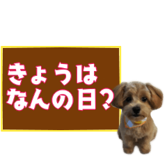 [LINEスタンプ] 忘れっぽい人の為のスタンプ その2