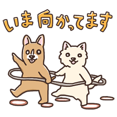 [LINEスタンプ] 敬語で！なかよしチワワのチュロとひめ