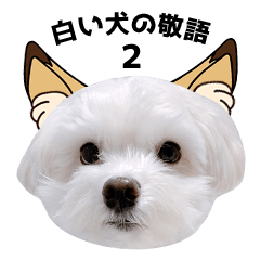 [LINEスタンプ] 白い犬の敬語2