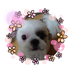 [LINEスタンプ] 素敵なりりかちゃん