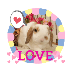 [LINEスタンプ] うさりおスタンプ4