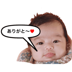 [LINEスタンプ] ハイビスタンプ①