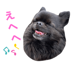 [LINEスタンプ] B☆B sisters2.