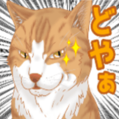 [LINEスタンプ] にゃんともわんダフルなスタンプ(修正版)