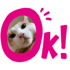 [LINEスタンプ] 気ままな猫ども