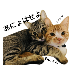 [LINEスタンプ] にんふく