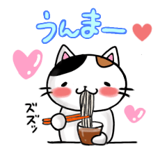 [LINEスタンプ] 三毛猫福ちゃんの夏に使えるスタンプ