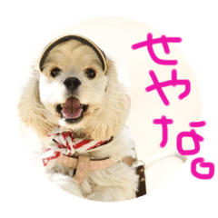 [LINEスタンプ] ludique