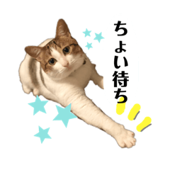 [LINEスタンプ] 俺様は小次郎。4
