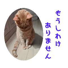 [LINEスタンプ] ふうちゃんの巻 その1
