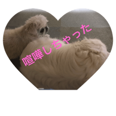 [LINEスタンプ] ケンカしちゃった