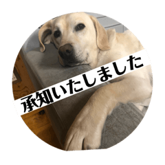 [LINEスタンプ] おからすたぐらむ