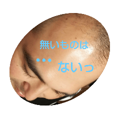 [LINEスタンプ] ほいどめ軍団