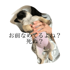 [LINEスタンプ] ！！！ももも！