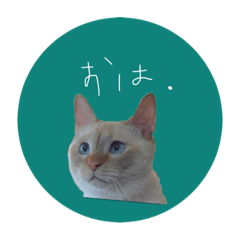 [LINEスタンプ] 猫はせかいをすくう