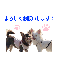 [LINEスタンプ] ビーくんとちゃーちゃん