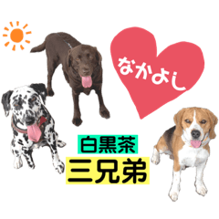 [LINEスタンプ] 白黒茶 三兄弟〜♪♪♪