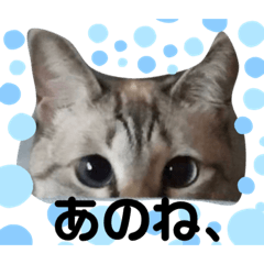 [LINEスタンプ] アンジュ＆くう＆バビ