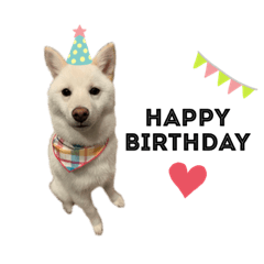 [LINEスタンプ] shibainu_1017