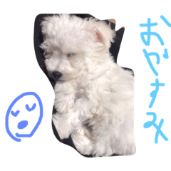 [LINEスタンプ] リンちゃんスタンプ公開