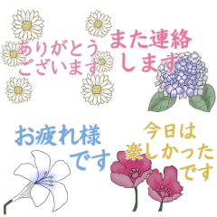 [LINEスタンプ] お花のいつでも使える敬語スタンプ