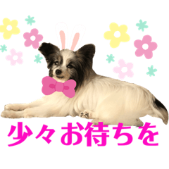 [LINEスタンプ] ジイさんの日常