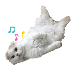 [LINEスタンプ] お猫様nyan’s