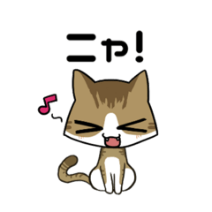 [LINEスタンプ] ネコ語になるスタンプだニャ！！